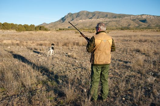 Quail hunter in camouflage clothing walking across the field