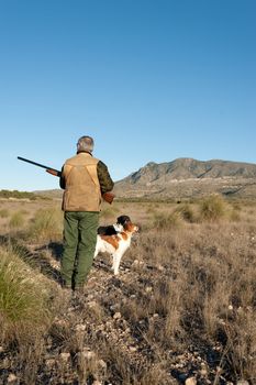 Quail hunter in camouflage clothing walking across the field