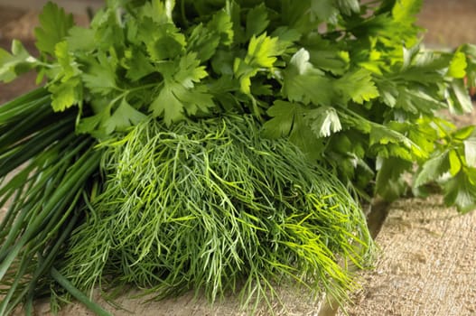 Fresh herbs in the kitchen