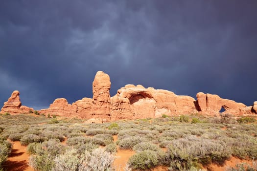 Desert after the Storm, Arches National Park, Utah, USA