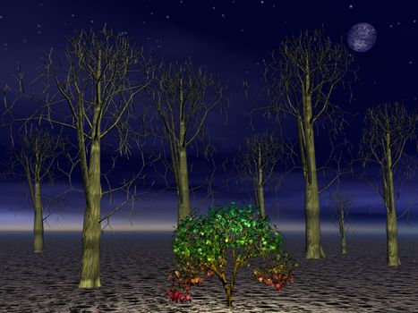 Small green tree alive among big dead forest trees by night with full moon