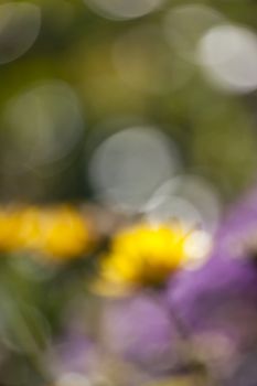 An image of a natural bokeh background