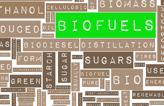 Biofuels or Biofuel Clean Energy as a New Concept