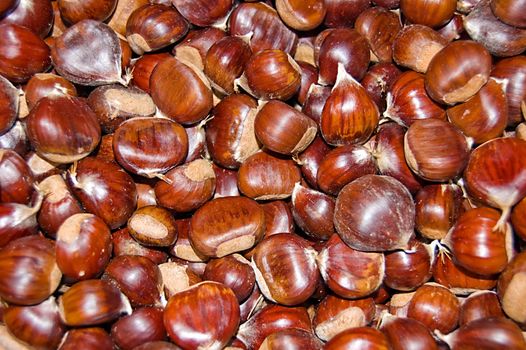 Group of chestnut without husk
