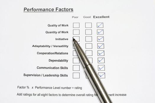 Checkbox form for employees performance rating