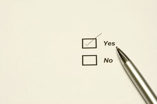 two Check box with Yes checked - with copy space on the left