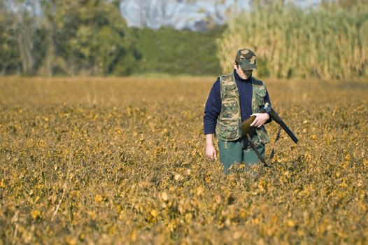 Hunter with rifle walking in a soya field