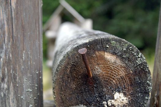 nail in joist, Poland