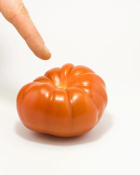 Big red tomato and finger pointing toward it