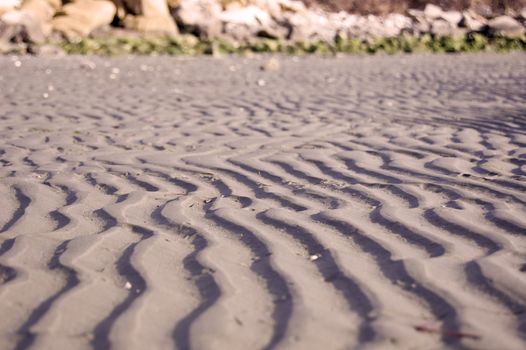 Lined sand waves on a beach