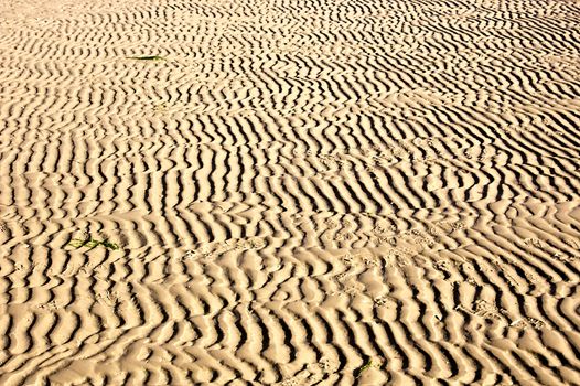 Lined sand waves with shoeprints on a beach