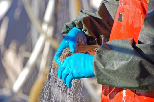 Fisherman take a fish out of the net