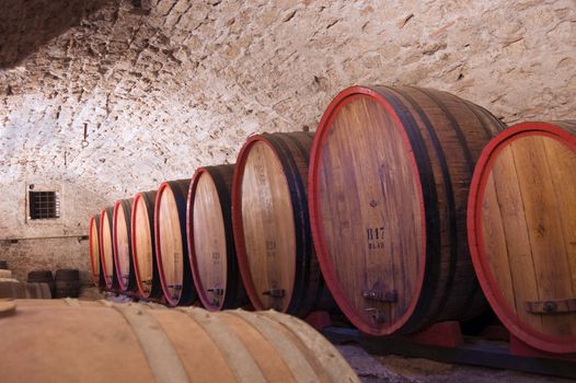 A line of wine casks in a cellar