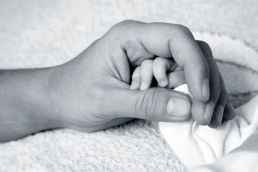 The image of hands of parent and the child