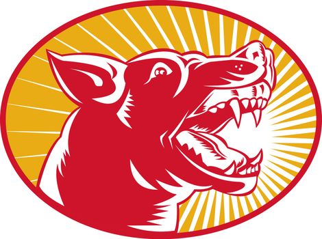 illustration of an angry wild dog wolf growling woodcut set inside oval with sunburst in background