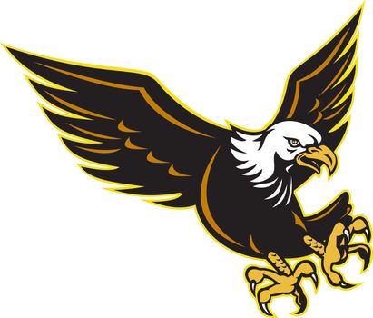 illustration an American Bald Eagle flying about to attack with sharp talons on isolated white background
