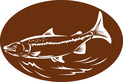 illustration of a trout fish set inside oval done in retro woodcut style