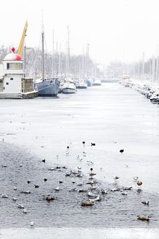 Snow in the city - harbor in winter, it is snowing - vertical image