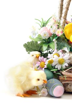 A couple of Easter chicks near a basket with flowers and eggs.