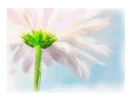 Digital watercolor of pink daisy against a blue summer sky