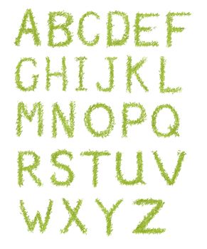 Alphabet letters of green grass isolated on white background 
