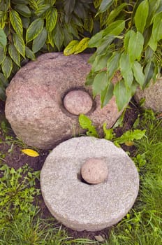 Burr with hole and stone in it and other big stone.