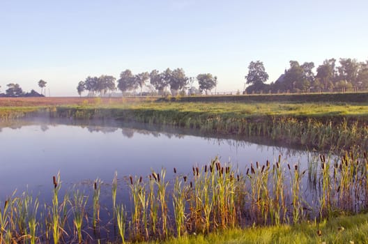 Private pond surrounded by a fence. Hatcheries industry.