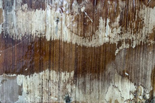 the old and grunge  vintage wood texture