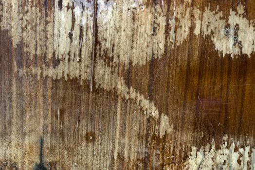 the old and grunge  vintage wood texture