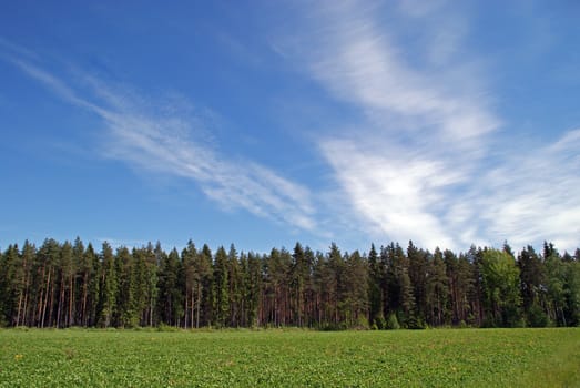 A country landscape of field, forest and bright blue sky with some clouds on a sunny day of May. Photographed in Salo, Finland 2010.