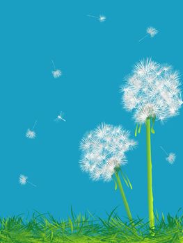 Beautiful dandelions background, abstract art