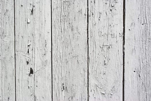A background of weathered white painted wood
