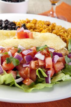 Burrito plate with a side of black beans rice and a fresh salad. Focus is on the salad and the image has a vertical orientation.