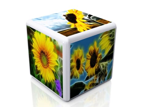 cube and flowers pictures
