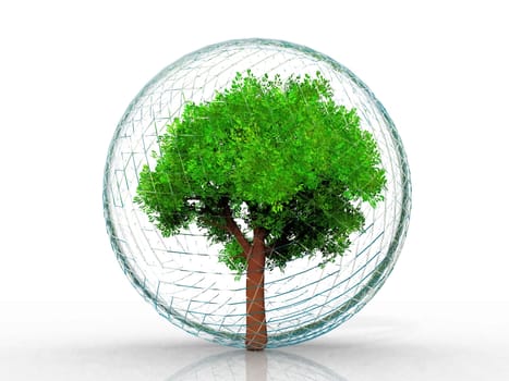 the green tree in a bubble