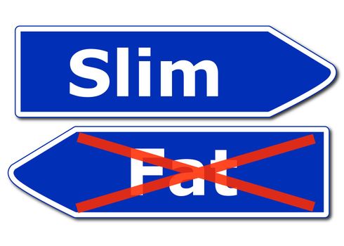 diet slim or fat concept with word isolated on white background