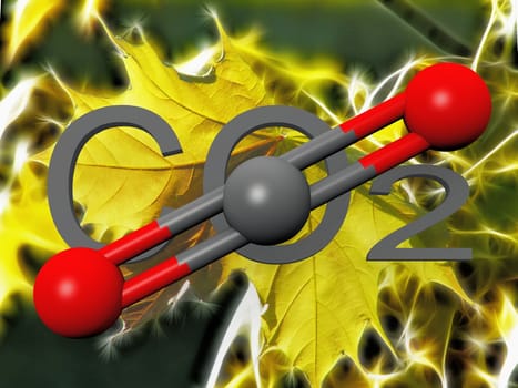 a leaf and carbon atom