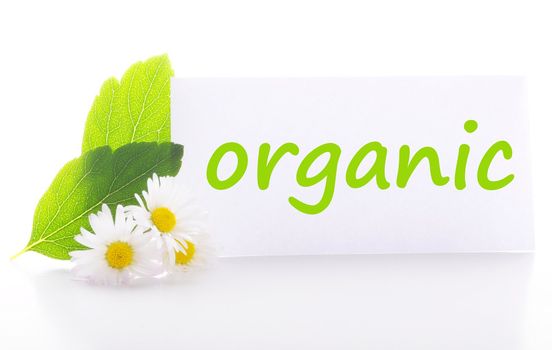 organic concept with word on nature still life