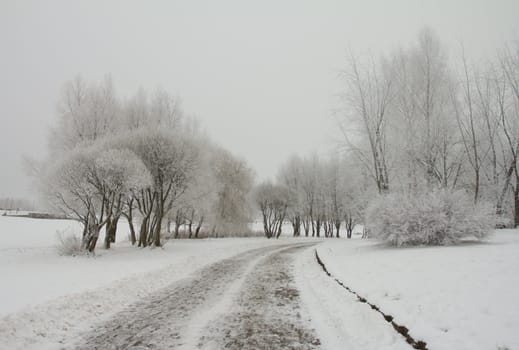 path in snow-covered park