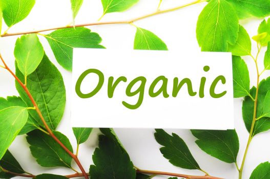 organic concept with word on nature still life