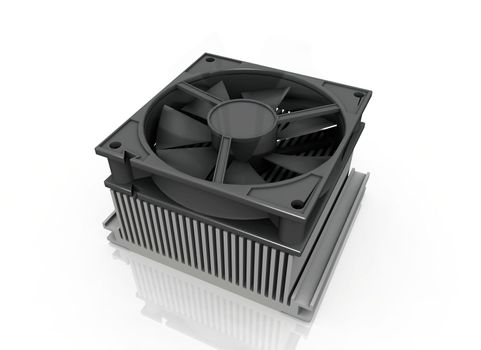 the fan on a white background