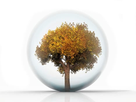 Autumn Tree in a bubble