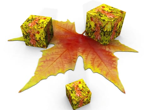 the autumn leaf and cube