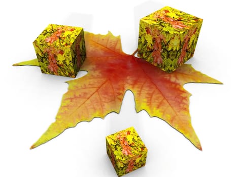 the autumn leaf and cube