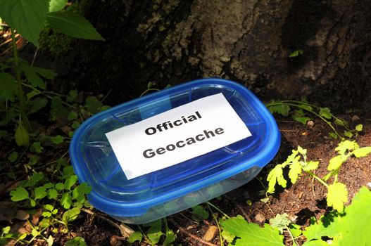 official blue geocache box in nature or forest