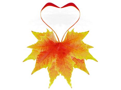 the autumnal leaves heart shaped