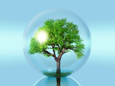 green tree in a bubble