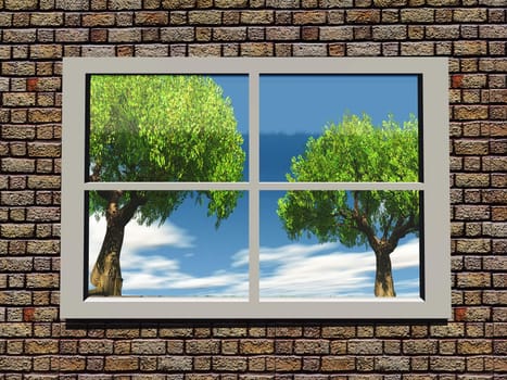 trees and nature through the window