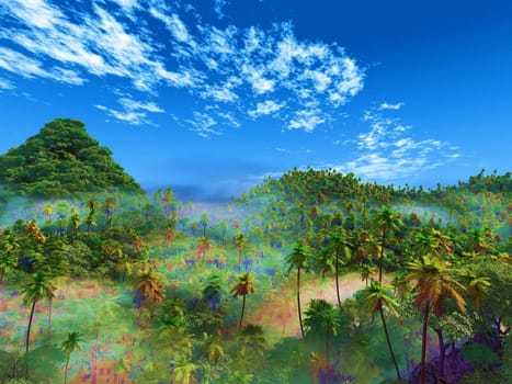 tropical landscape and blue sky