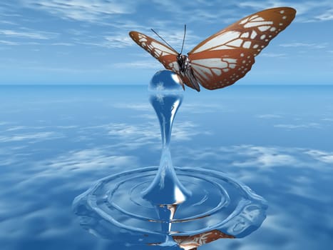 the butterfly and the drop of water